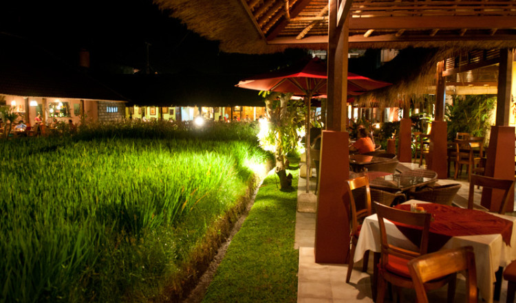 Ett litet risfält vid Three Monkeys Restaurant i centrala Ubud, Bali