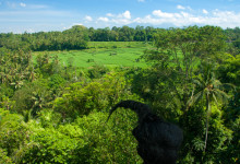 Utsikt från Bambu Indah, Ubud Bali