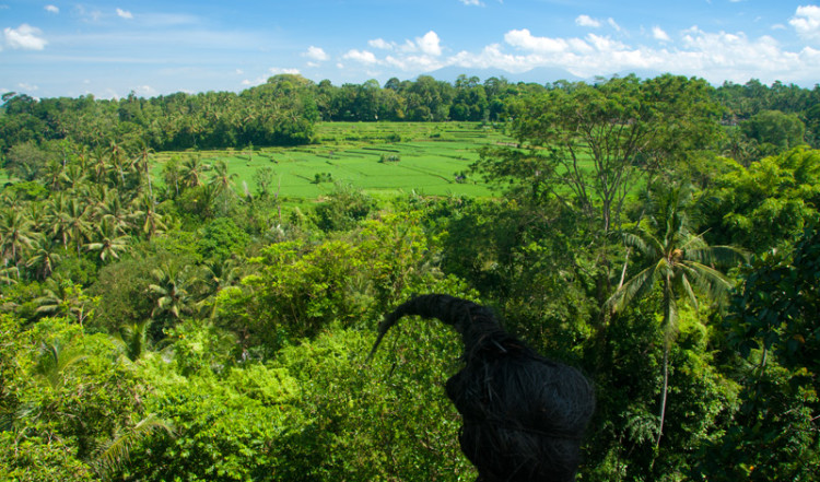 Utsikt från Bambu Indah, Ubud Bali