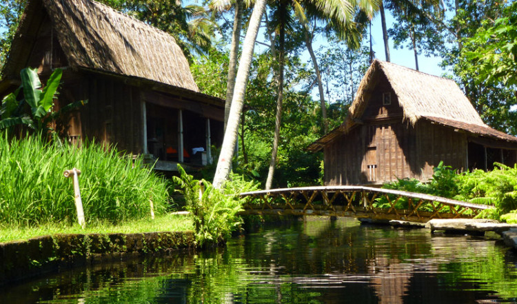 20120412-21-Swimming-Bambu-Indah-Ubud