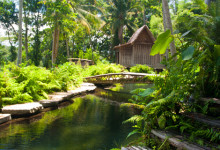 Från trappan till Padi House, Bambu Indah, Ubud Bali