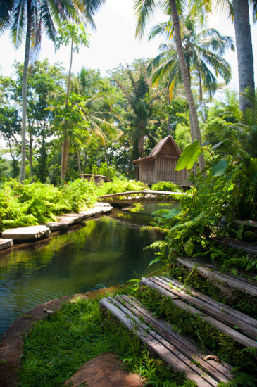 Från trappan till Padi House,  Bambu Indah, Ubud Bali