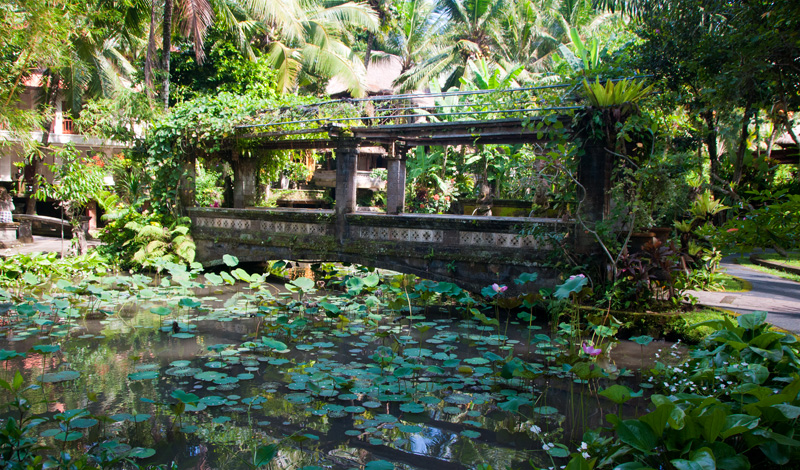 Gångbro över damm på Arma Resort Hotel, Ubud
