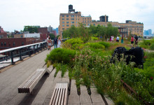High Line Park med utsikt över omgivningarna, NYC