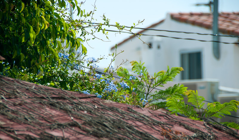 Takås, Monte Viñas