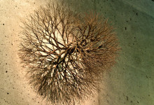 Konstverk på väggen i De Young Museum, Golden Gate Park San Francisco