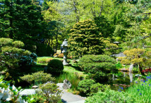 Japanese Tea Garden, Golden Gate Park San Francisco