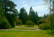 Conifer Lawn i San Francisco botanical garden, Kalifornien