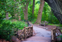 Gångväg genom Central Park, New York