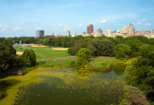 Great Lawn från Belvedere Castle i Central Park, New York