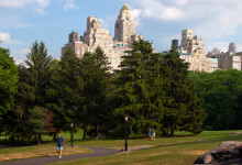 Cedar Hill i Central Park, New York