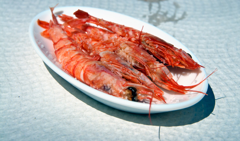 Gambas - färska räkor på Bar Los Ibericos Jabugo, Sabinilla
