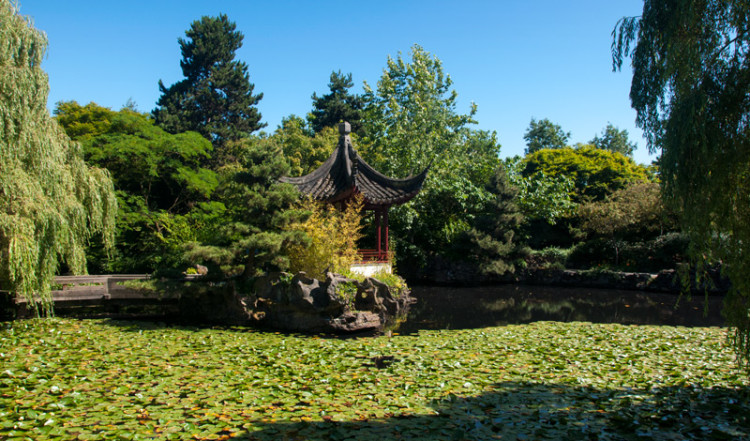 Inne i Sun Yat Sen Park i Chinatown, Vancouver