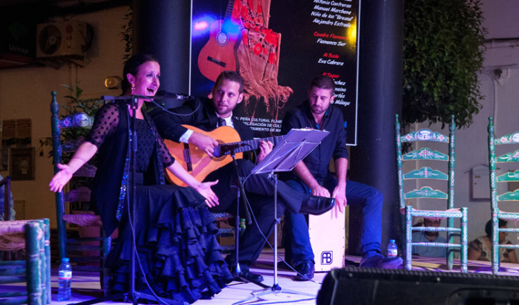 Flamenco dans, XXXIII Festival Flamenco, Manilva 2013