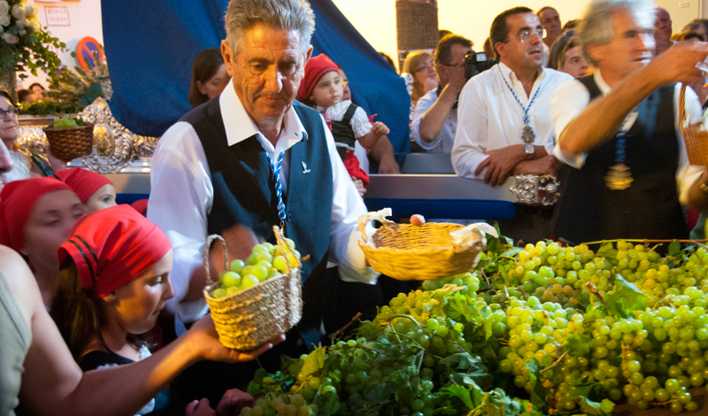 Tävling om bästa vindruvsklasen, Fiesta de la Vendimia, Manilva