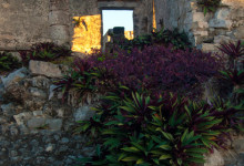 Maya Ruinerna i Tulum