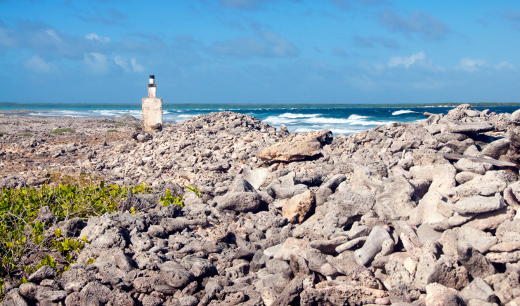 Karg kuststräcka, Bonaire