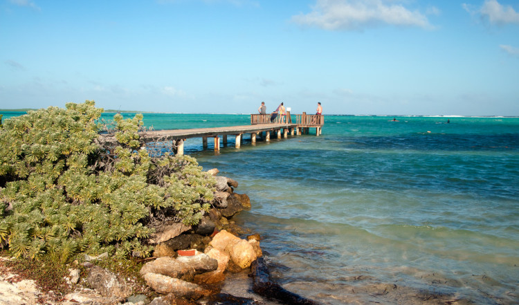 Eftermiddagssol över bryggan och stranden till Sorobon Beach Resort på Bonaire