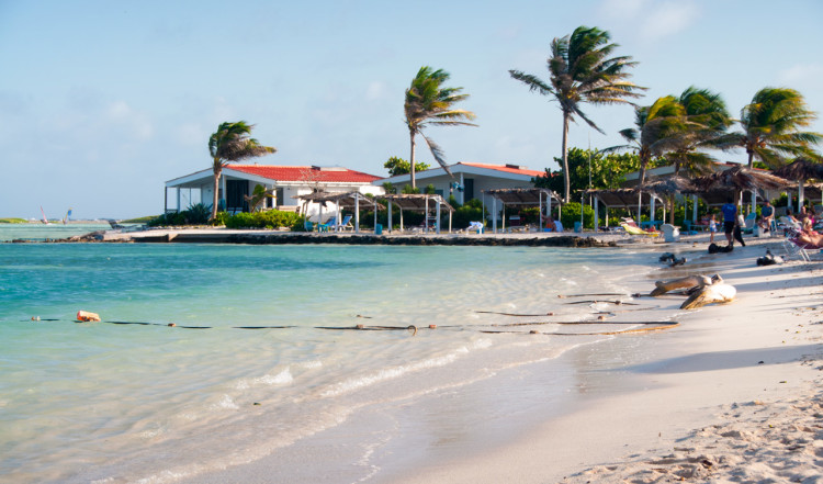 Eftermiddagssol över stranden till Sorobon Beach Resort på Bonaire