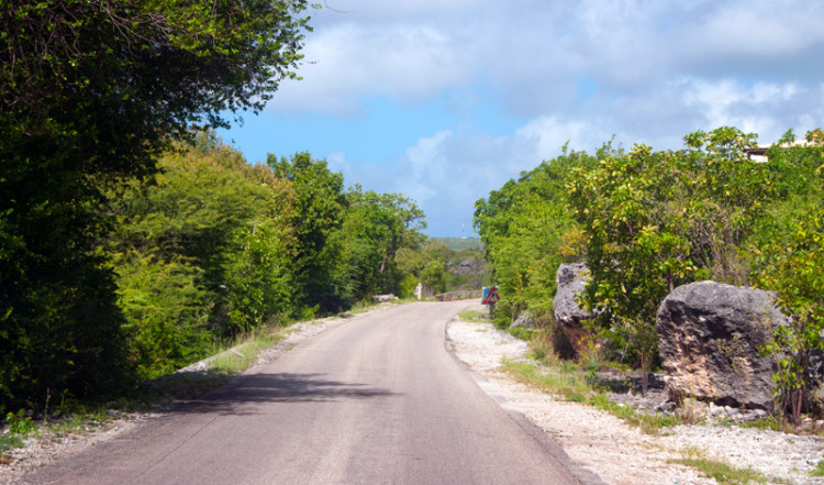 Vi kör norrut på Bonaire