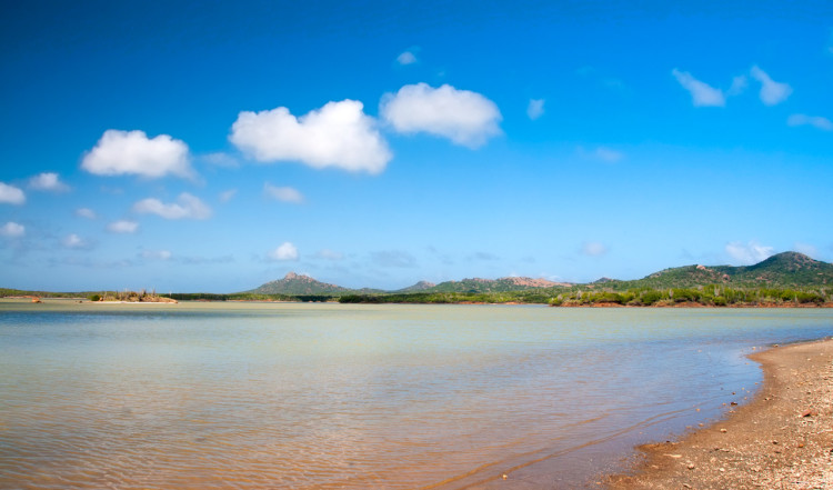 En kort bit från utsiktsplatsen, Goto Meer Sjö, Bonaire