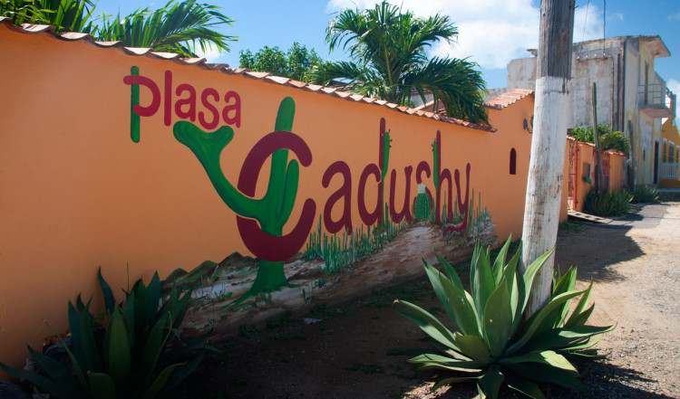 Plasa Cadushy i Rincon, Bonaire