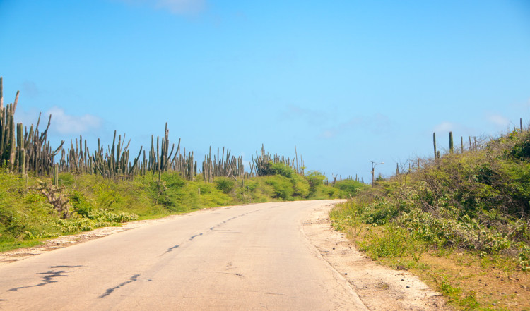 Vägar omgivna av kaktusar, Bonaire