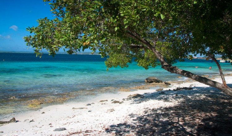 Vackra vyer vid stadsstrand, Kralendijk, Bonaire