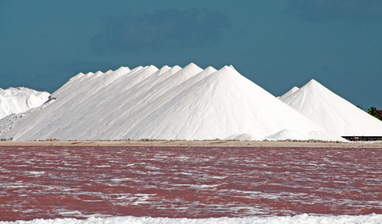 Rosa vatten vid saltproduktionen, Bonaire