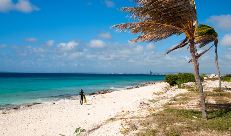 Pink beach, Bonaire