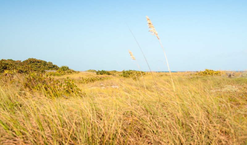 Bill Baggs Cape Florida State Park, Key Biscayne, Miami