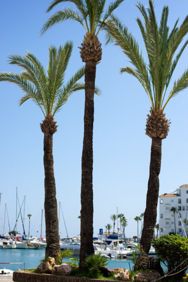 Puerto de la Duquesa