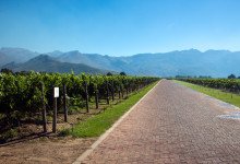 Vacker vingård med goda viner - Deetlefs Wine Estate, Sydafrika