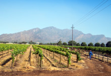 Vackert beläget - Deetlefs Wine Estate, Sydafrika