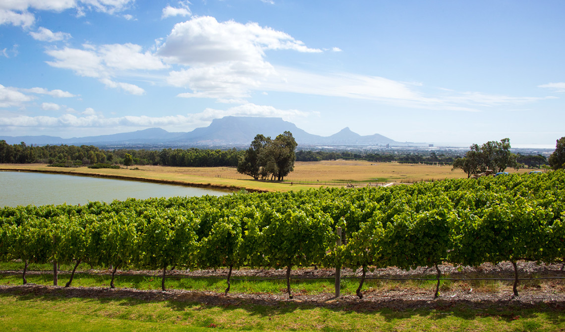 Fantastiska landskap - De Grendel Wine Estate and Restaurant