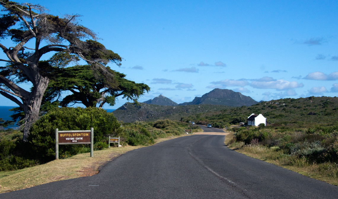 Vi kör in i Table Mountain National Park