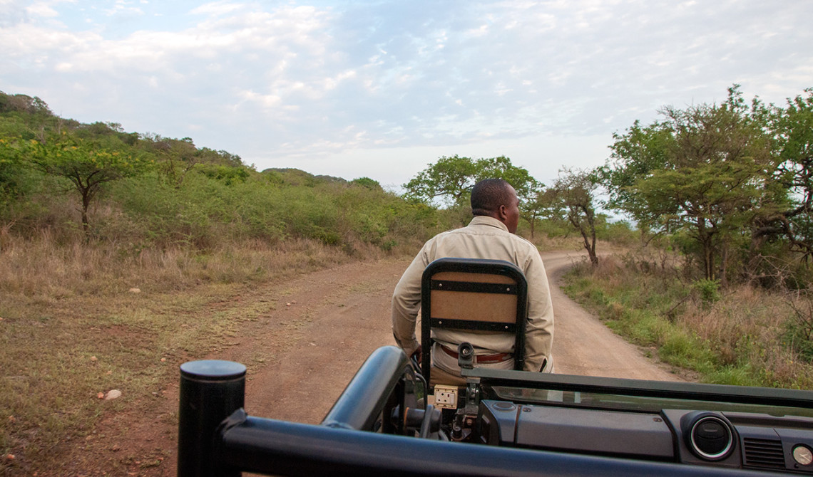 Vid 5.30 på morgonen åker vi ut på dagens första game drive, Thanda Private Game Reserve