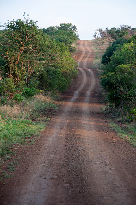 Väg vi färdas på under vår game drive, Thanda Private Game Reserve
