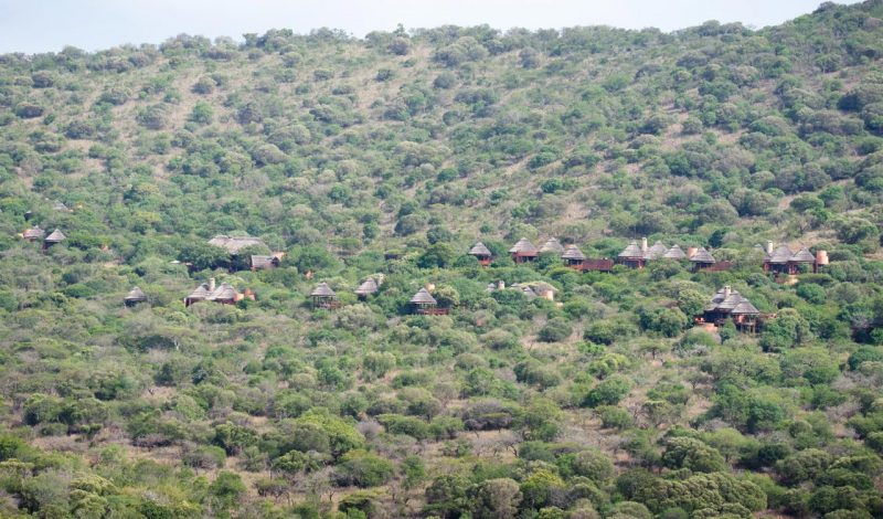 Thanda Private Game Reserve