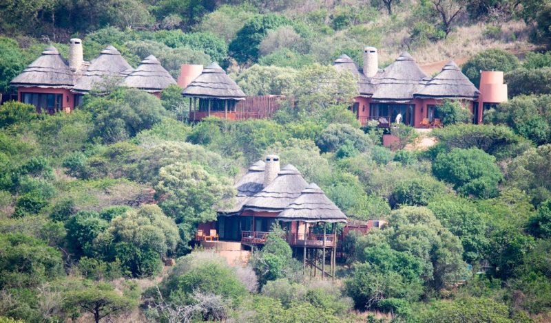 Thanda Private Game Reserve