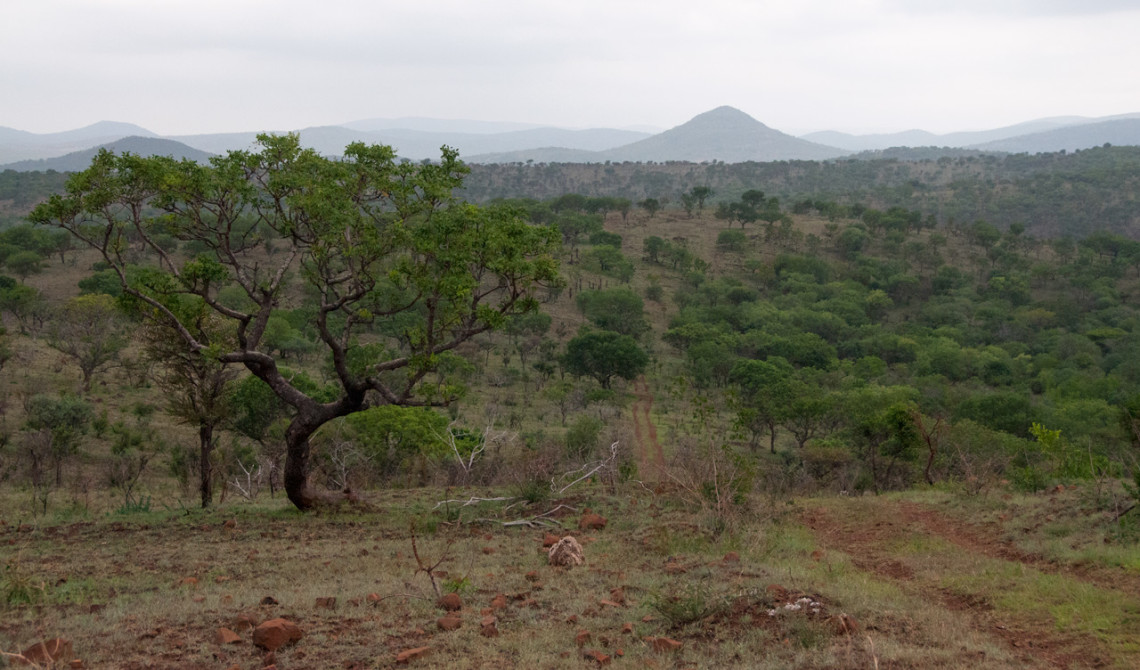 Vackra landskap och vyer sett från eftermiddagens game drive, Mavela Game Lodge