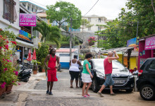Gatuliv i Saint-Luce på Martinique