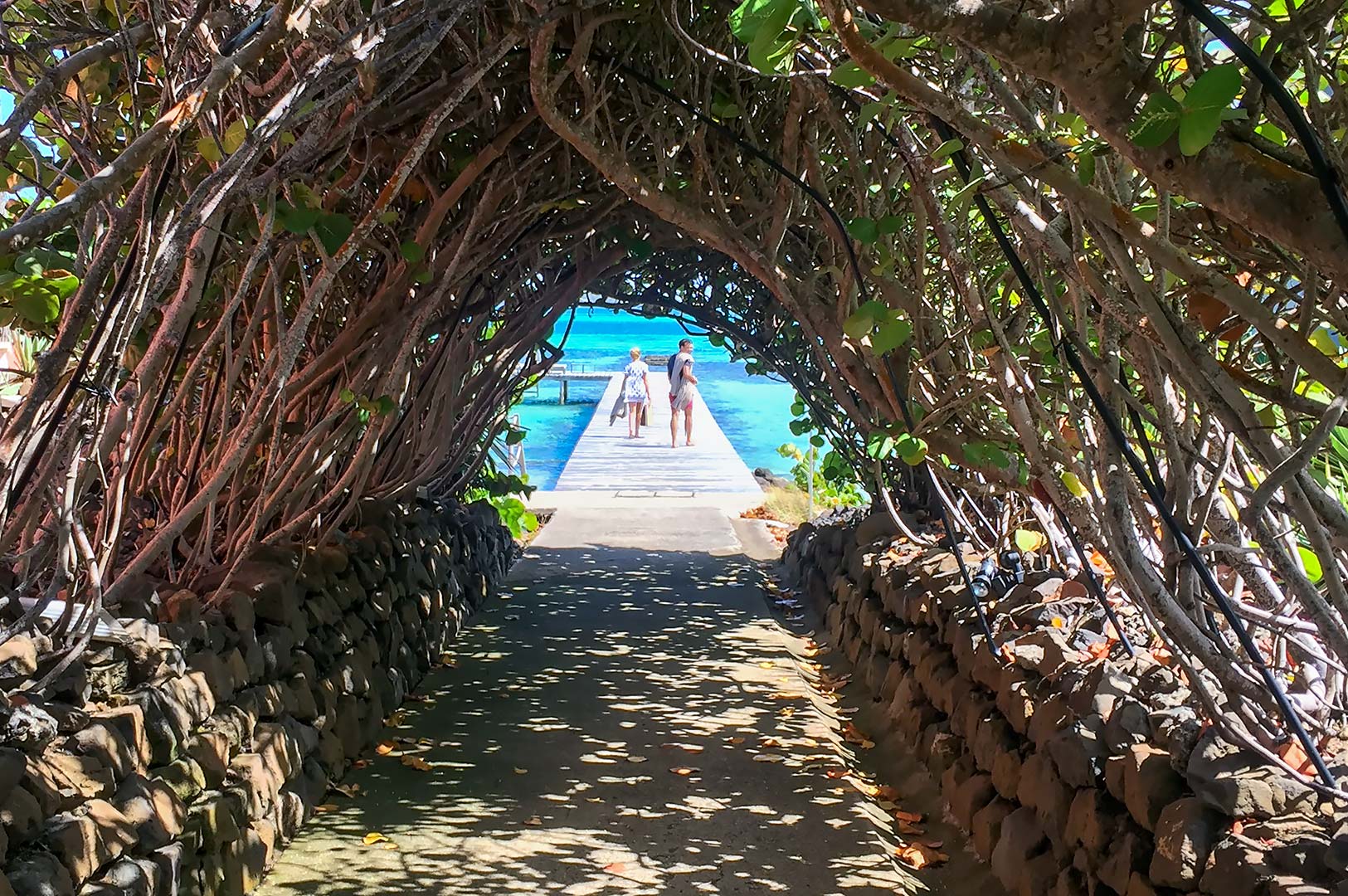 Gångväg under grenar på Le Cap Est Lagoon Resort, Martinique