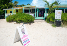 Rickie's Flamingo Café, Turks & Caicos