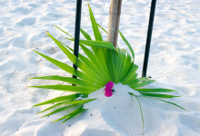 Vackra dekorationer runt om vår privata fördelsedagsmiddag på stranden till West Bay Club Resort, Turks & Caicos