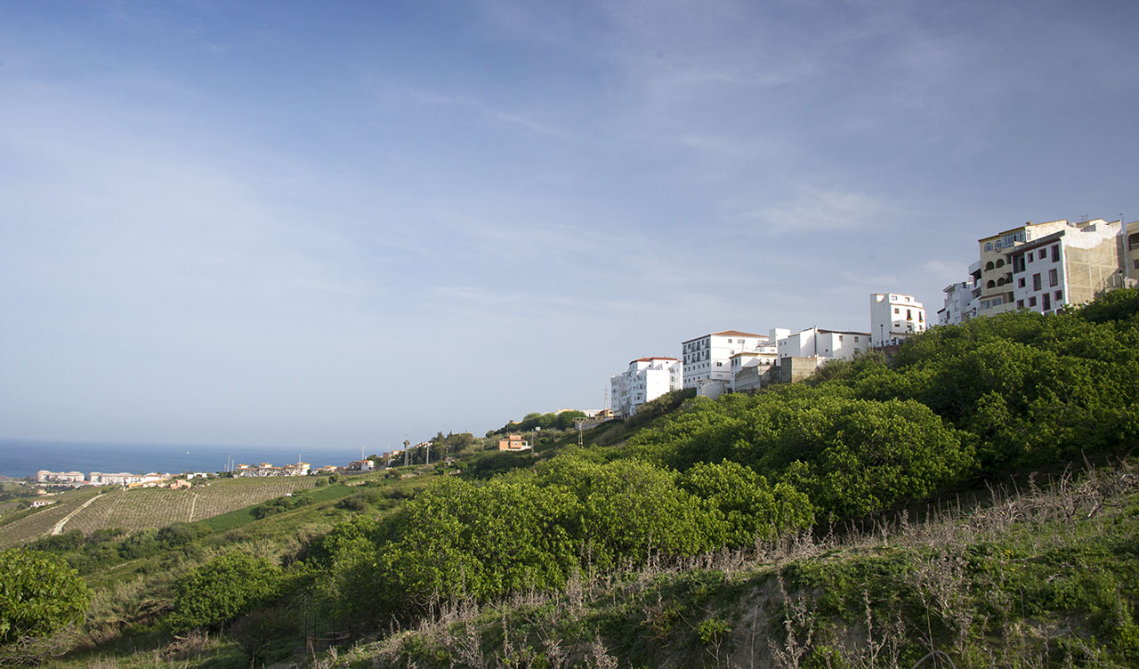 Manilvas landskap