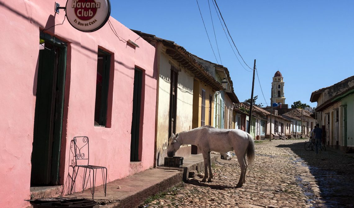 Horse outside a pink house in Trinidad